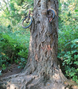 VashonBikeTree