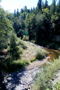 View of Wilkeson (South Prairie) Creek from bridge